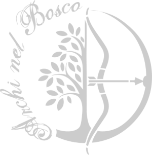 Logo Archi nel Bosco